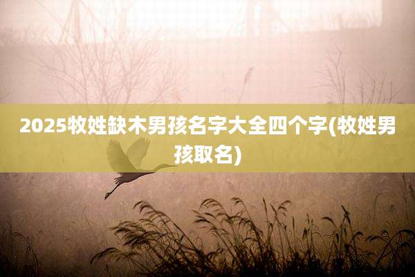 2025牧姓缺木男孩名字大全四个字(牧姓男孩取名)
