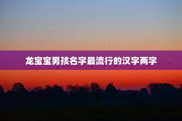 龙宝宝男孩名字最流行的汉字两字