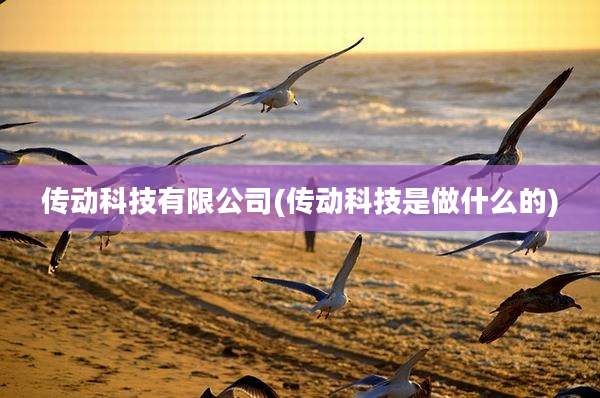 传动科技有限公司(传动科技是做什么的)