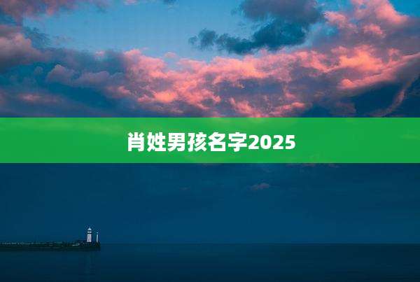 肖姓男孩名字2025