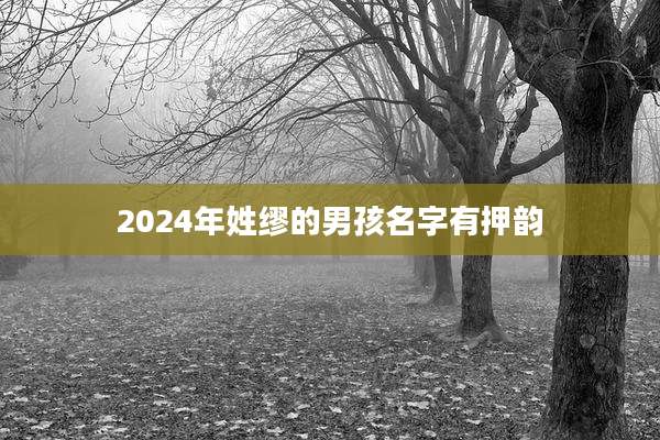 2024年姓缪的男孩名字有押韵