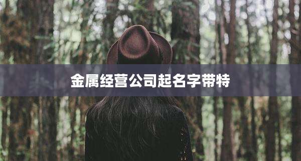 金属经营公司起名字带特