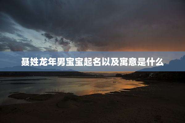 聂姓龙年男宝宝起名以及寓意是什么