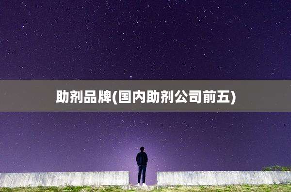 助剂品牌(国内助剂公司前五)