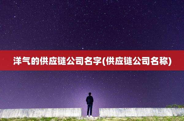 洋气的供应链公司名字(供应链公司名称)