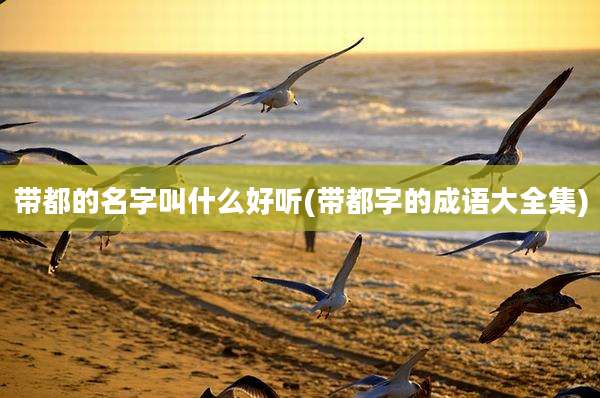带都的名字叫什么好听(带都字的成语大全集)