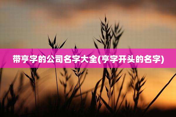 带亨字的公司名字大全(亨字开头的名字)