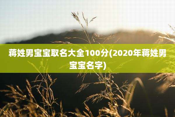 蒋姓男宝宝取名大全100分(2020年蒋姓男宝宝名字)