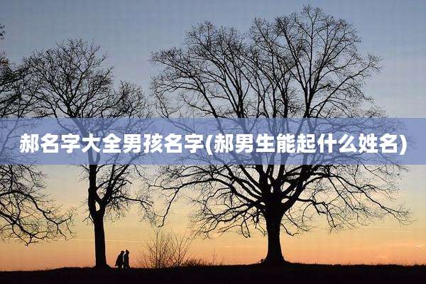 郝名字大全男孩名字(郝男生能起什么姓名)