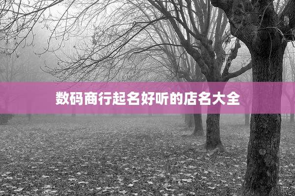 数码商行起名好听的店名大全