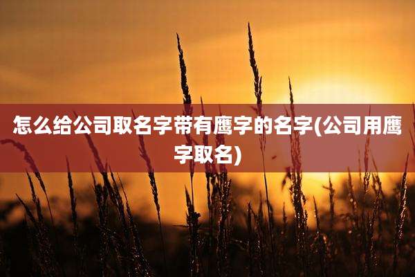 怎么给公司取名字带有鹰字的名字(公司用鹰字取名)