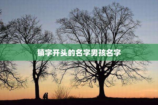 镇字开头的名字男孩名字