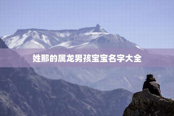 姓那的属龙男孩宝宝名字大全