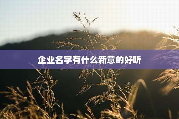 企业名字有什么新意的好听