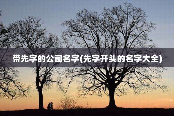 带先字的公司名字(先字开头的名字大全)