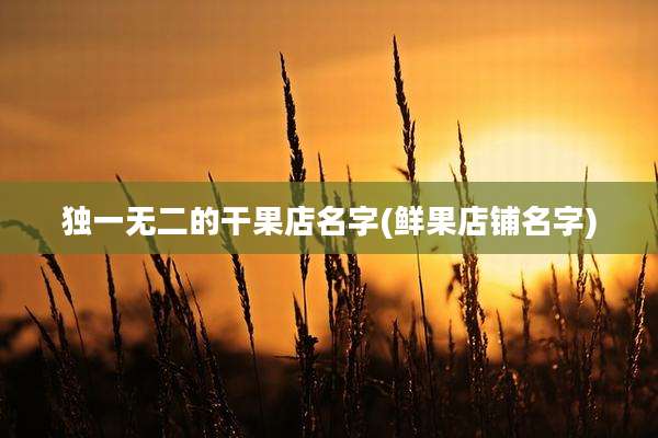 独一无二的干果店名字(鲜果店铺名字)