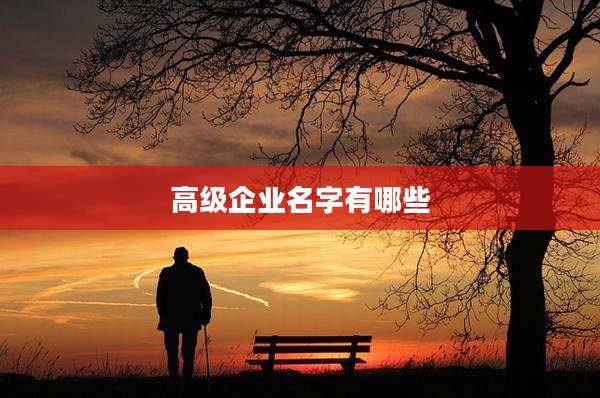 高级企业名字有哪些