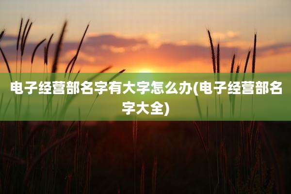 电子经营部名字有大字怎么办(电子经营部名字大全)