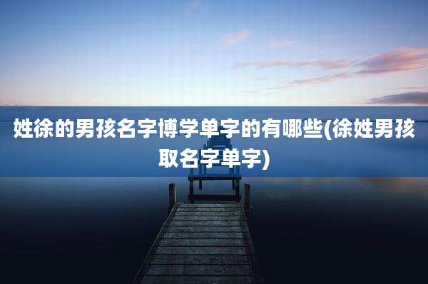 姓徐的男孩名字博学单字的有哪些(徐姓男孩取名字单字)