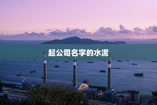 起公司名字的水泥
