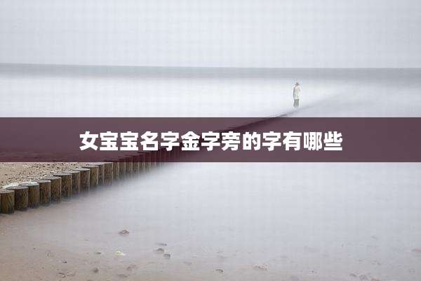 女宝宝名字金字旁的字有哪些