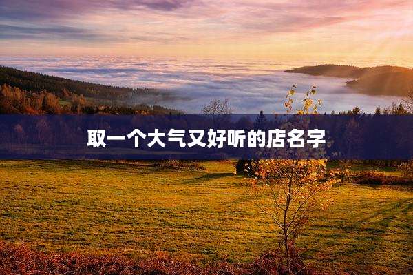 取一个大气又好听的店名字