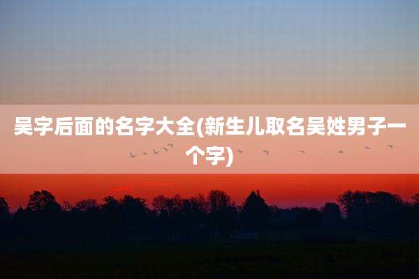 吴字后面的名字大全(新生儿取名吴姓男子一个字)