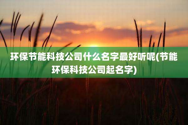 环保节能科技公司什么名字最好听呢(节能环保科技公司起名字)