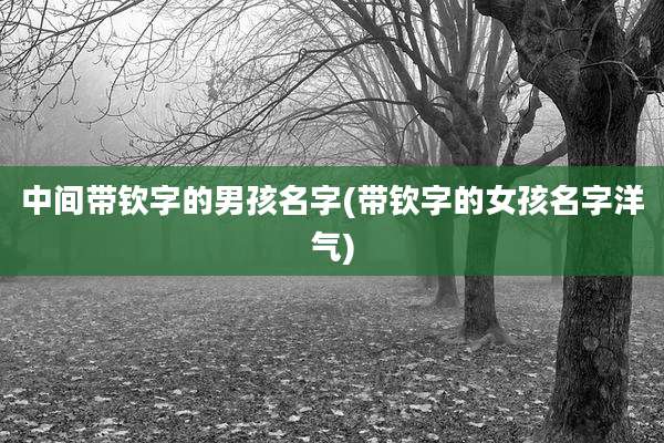 中间带钦字的男孩名字(带钦字的女孩名字洋气)