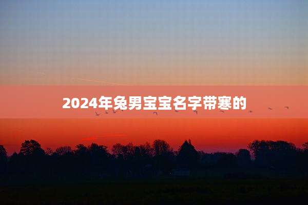 2024年兔男宝宝名字带寒的