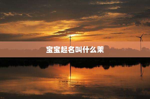 宝宝起名叫什么茉