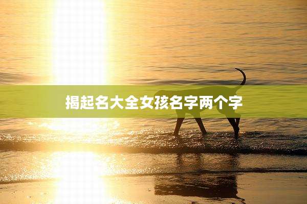 揭起名大全女孩名字两个字