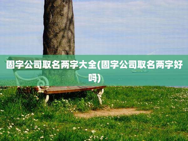 固字公司取名两字大全(固字公司取名两字好吗)