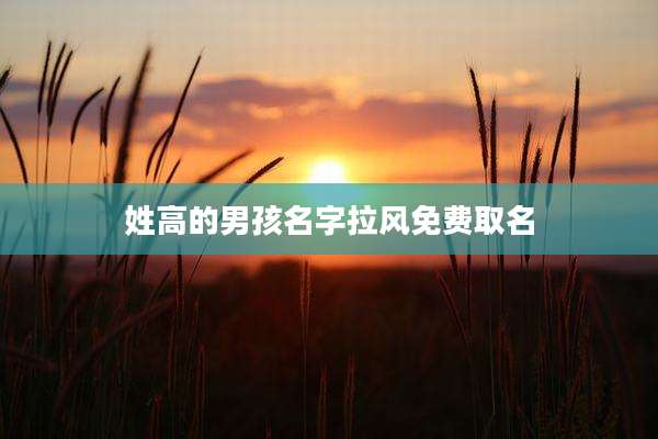 姓高的男孩名字拉风免费取名