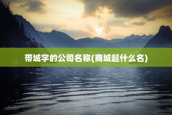 带城字的公司名称(商城起什么名)