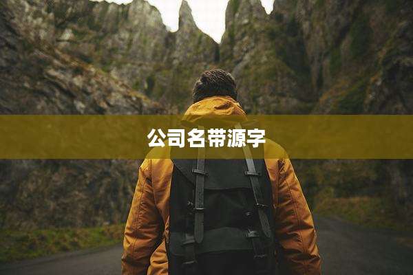 公司名带源字