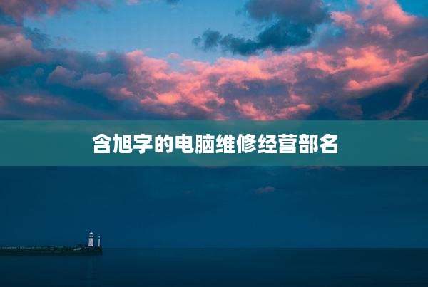含旭字的电脑维修经营部名