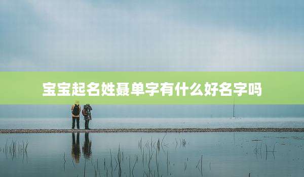 宝宝起名姓聂单字有什么好名字吗