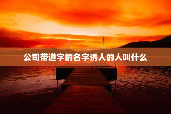 公司带道字的名字诱人的人叫什么