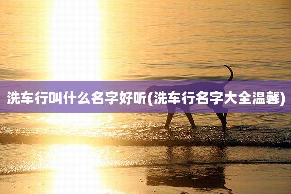 洗车行叫什么名字好听(洗车行名字大全温馨)