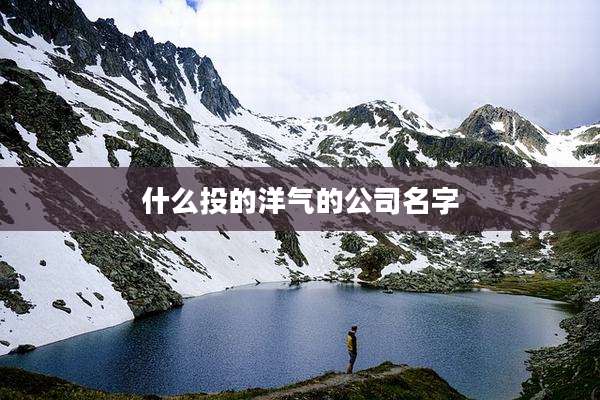 什么投的洋气的公司名字
