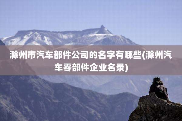 滁州市汽车部件公司的名字有哪些(滁州汽车零部件企业名录)