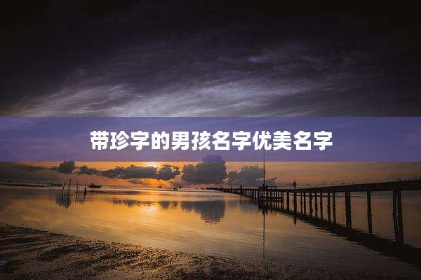 带珍字的男孩名字优美名字