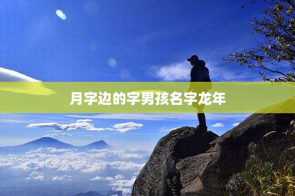月字边的字男孩名字龙年