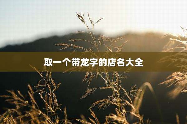 取一个带龙字的店名大全