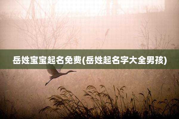 岳姓宝宝起名免费(岳姓起名字大全男孩)