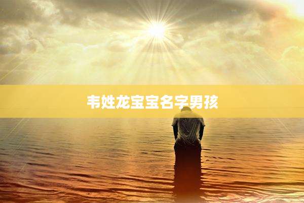 韦姓龙宝宝名字男孩