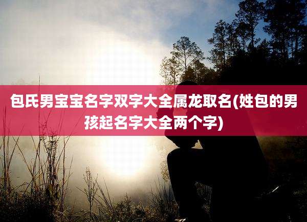 包氏男宝宝名字双字大全属龙取名(姓包的男孩起名字大全两个字)