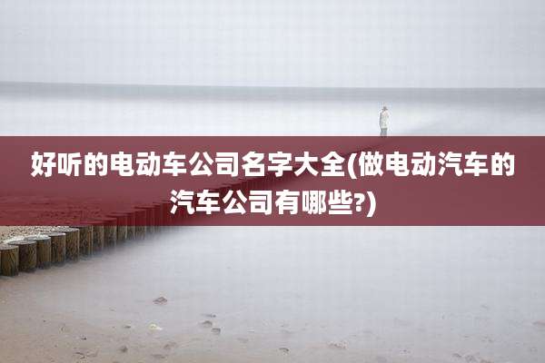 好听的电动车公司名字大全(做电动汽车的汽车公司有哪些?)