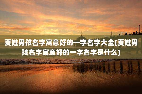 夏姓男孩名字寓意好的一字名字大全(夏姓男孩名字寓意好的一字名字是什么)